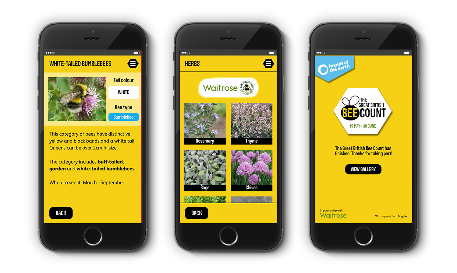 Great British Bee Count - 2016 App Screens