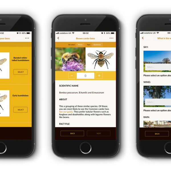 Great British Bee Count - 2018 App Screens