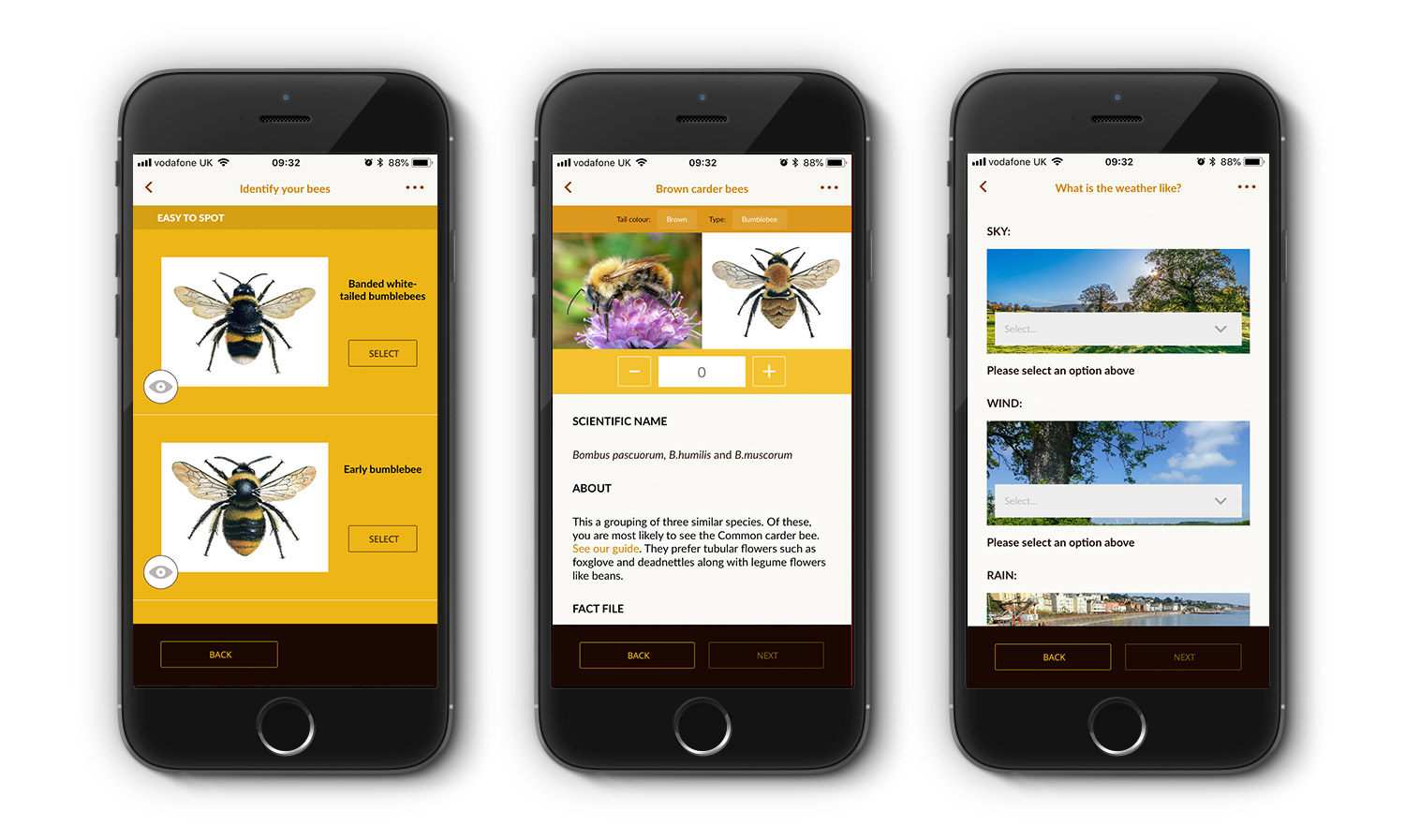 Great British Bee Count - 2018 App Screens